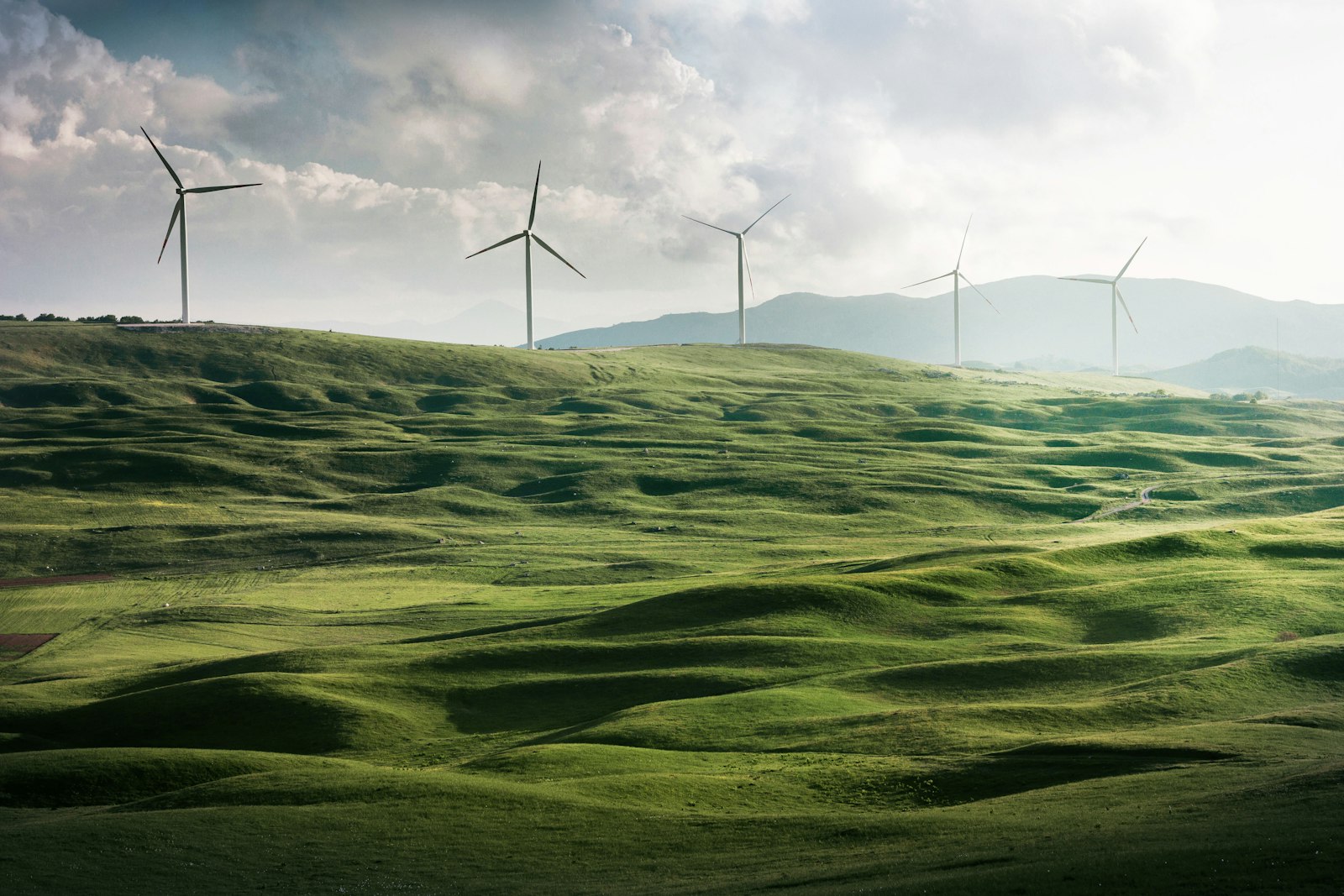 SAF Supply Agreements and Feedstock Availability Shape 2026-2050 Market Outlook